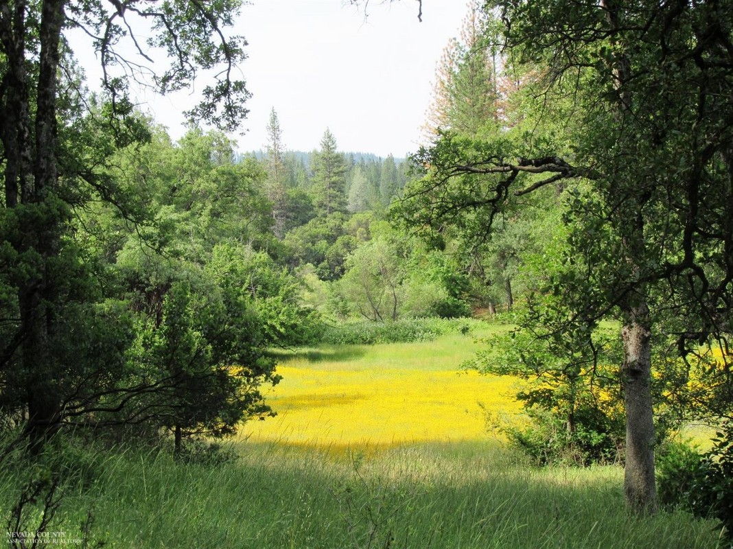 15426 Lower Colfax Rd